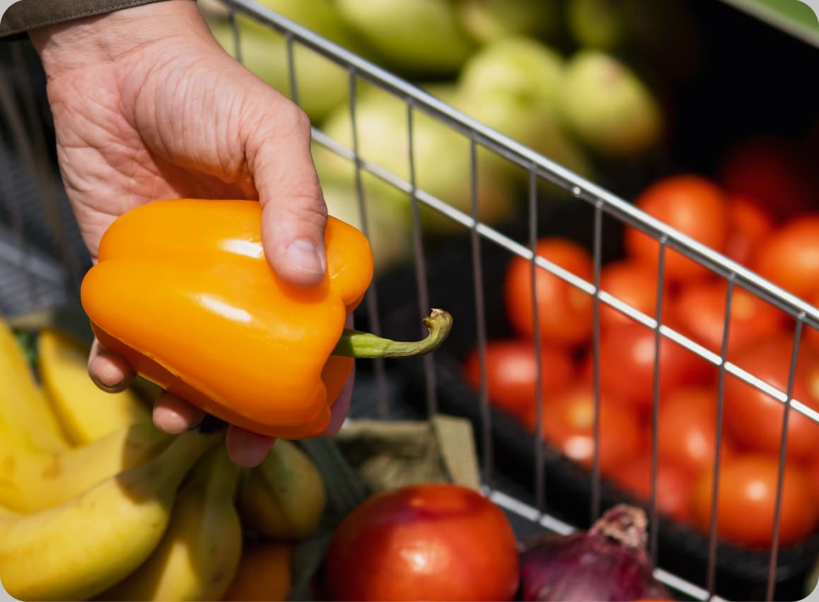 Zero upfront costs or operational burden